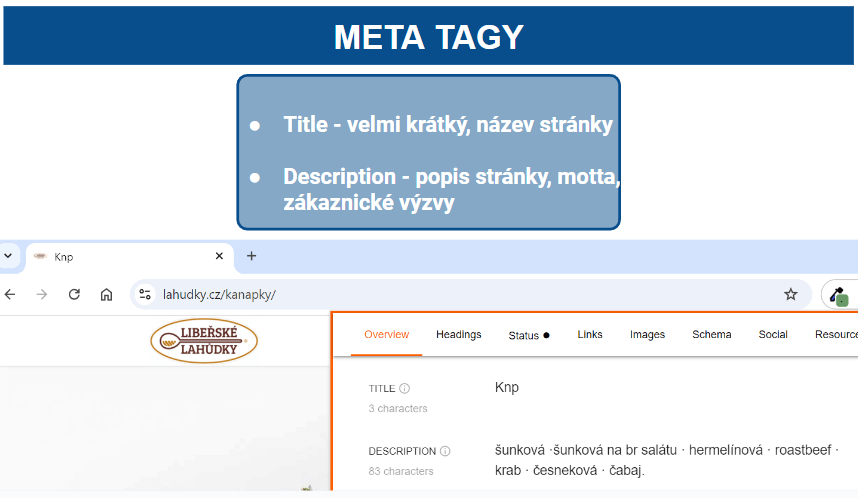 Meta tags